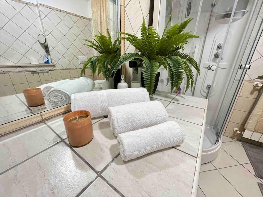 Casa Vacanza Fiera Di Roma Ponte Galeria Dış mekan fotoğraf